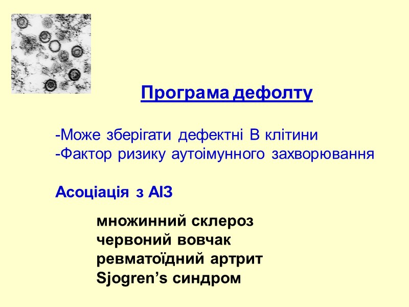 Програма дефолту  Може зберігати дефектні B клітини Фактор ризику аутоімунного захворювання  Асоціація